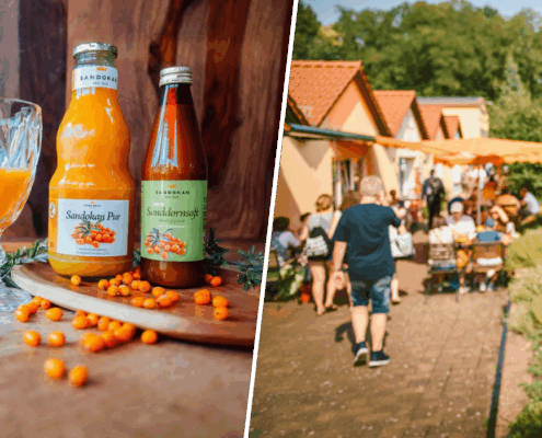 Sandokan Zwei Geschäftsmodelle